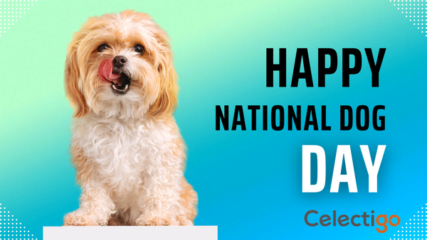 Celebrate National Dog Day with Celectigo: Essential Products for Your Furry Friend